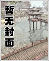 纷争之心